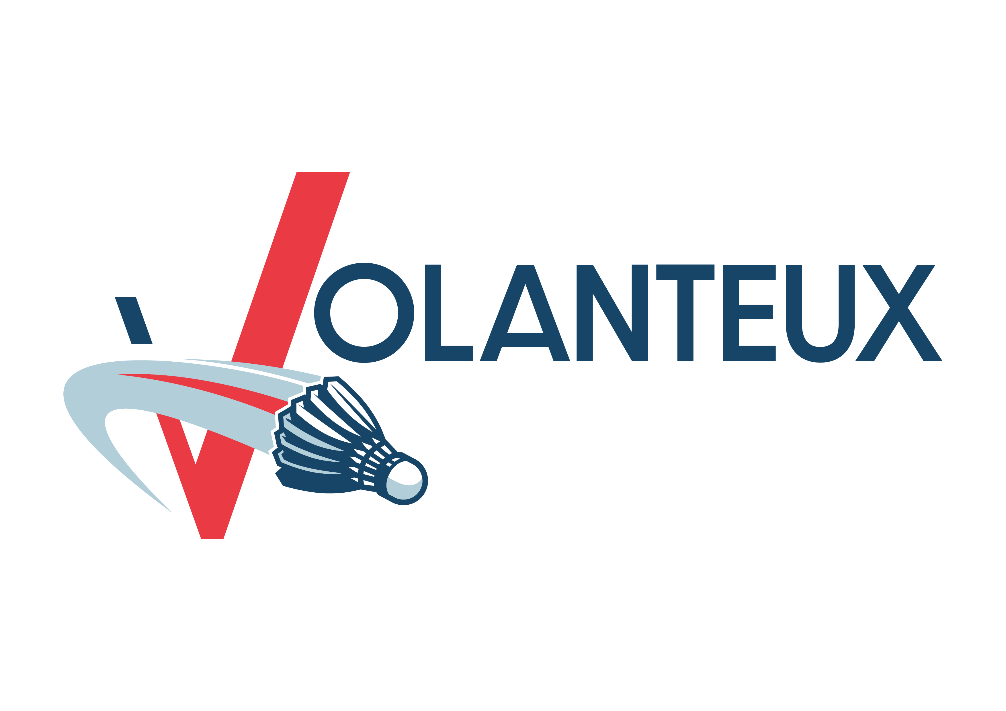 Les Volanteux