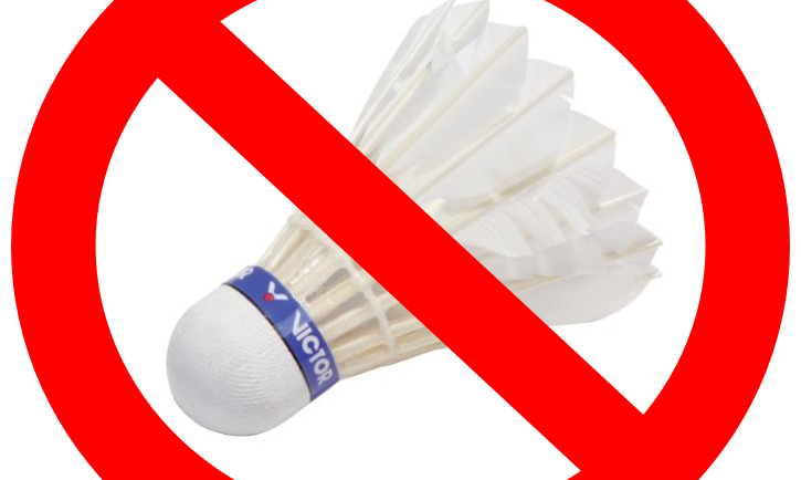 Pas de badminton – Salle de Seilles occupée