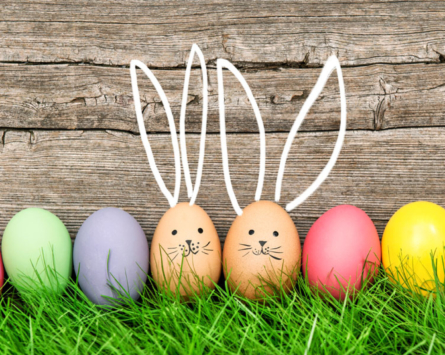 Férié – complexe fermé – pas de bad