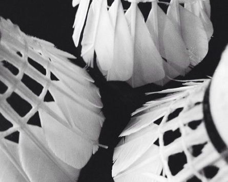 😋 Tournoi & Repas Fin de Saison 🏸